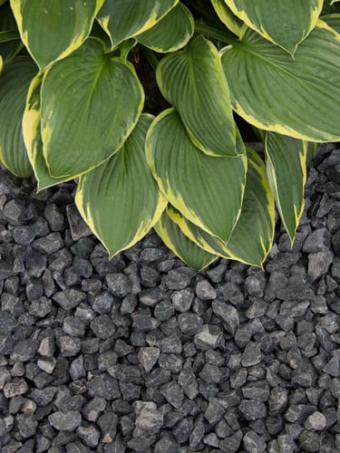 Basalt split 8 - 16mm aangelegde siertuin