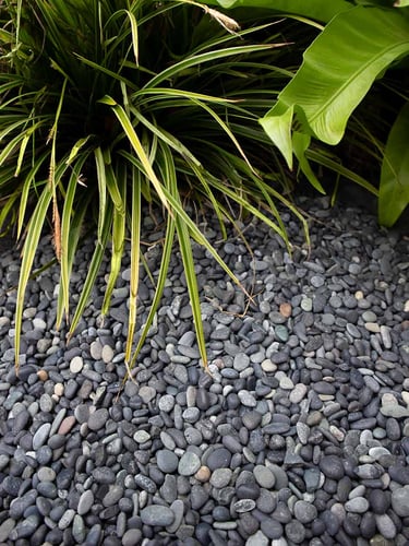 Beach pebbles zwart 5 - 8mm (populair) aangelegd