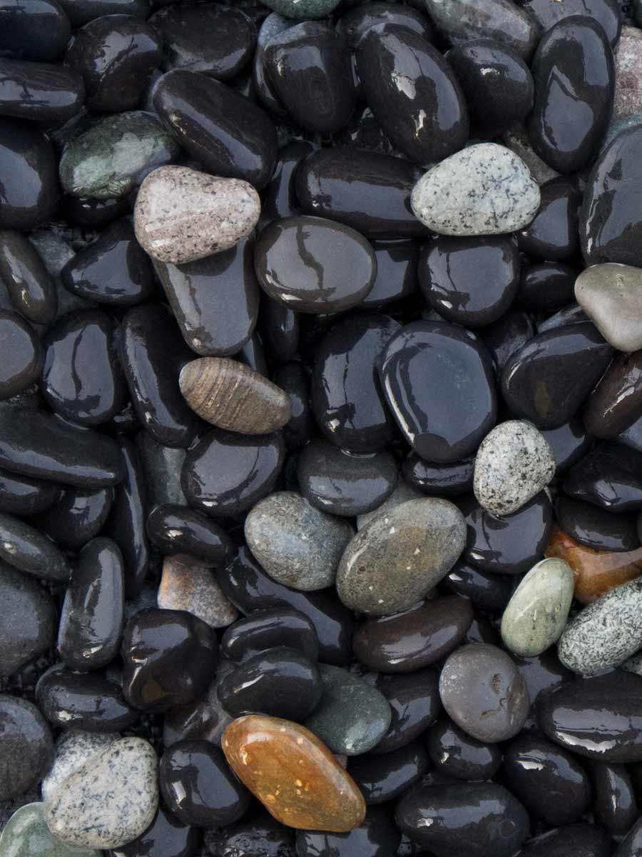 Pak om te zetten Uitverkoop Comorama Beach pebbles zwart kopen? Goedkope Beach Pebbles voor uw tuin