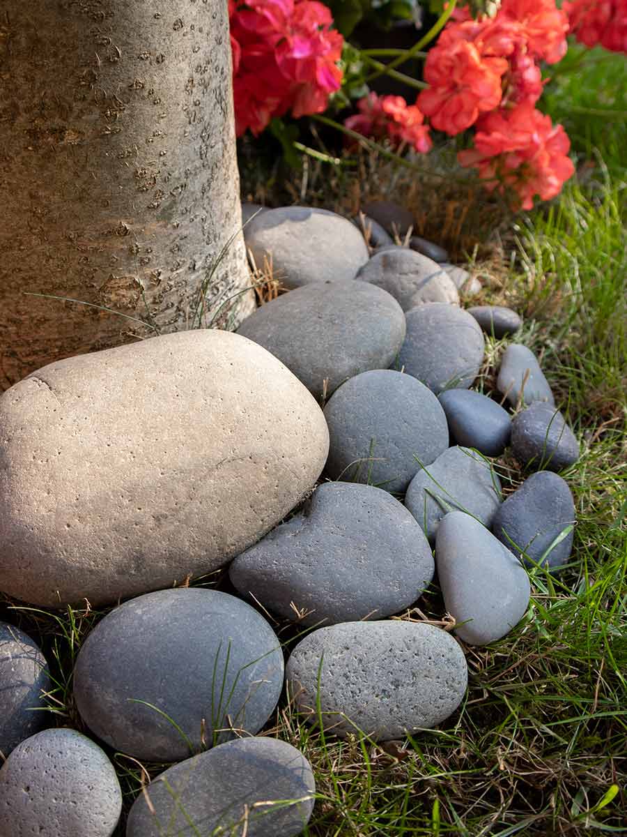 kalender zak stof in de ogen gooien Beach pebbles groot zwart kopen? Grote ronde stenen | Beste kwaliteit kalender zak stof in de ogen gooien Beach pebbles groot zwart kopen? Grote ronde stenen | Beste kwaliteit