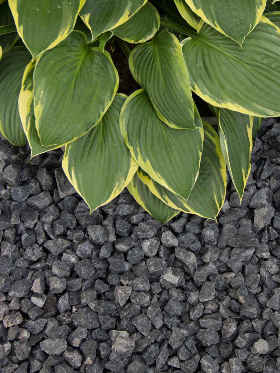Basalt split 16 - 32 aangelegd