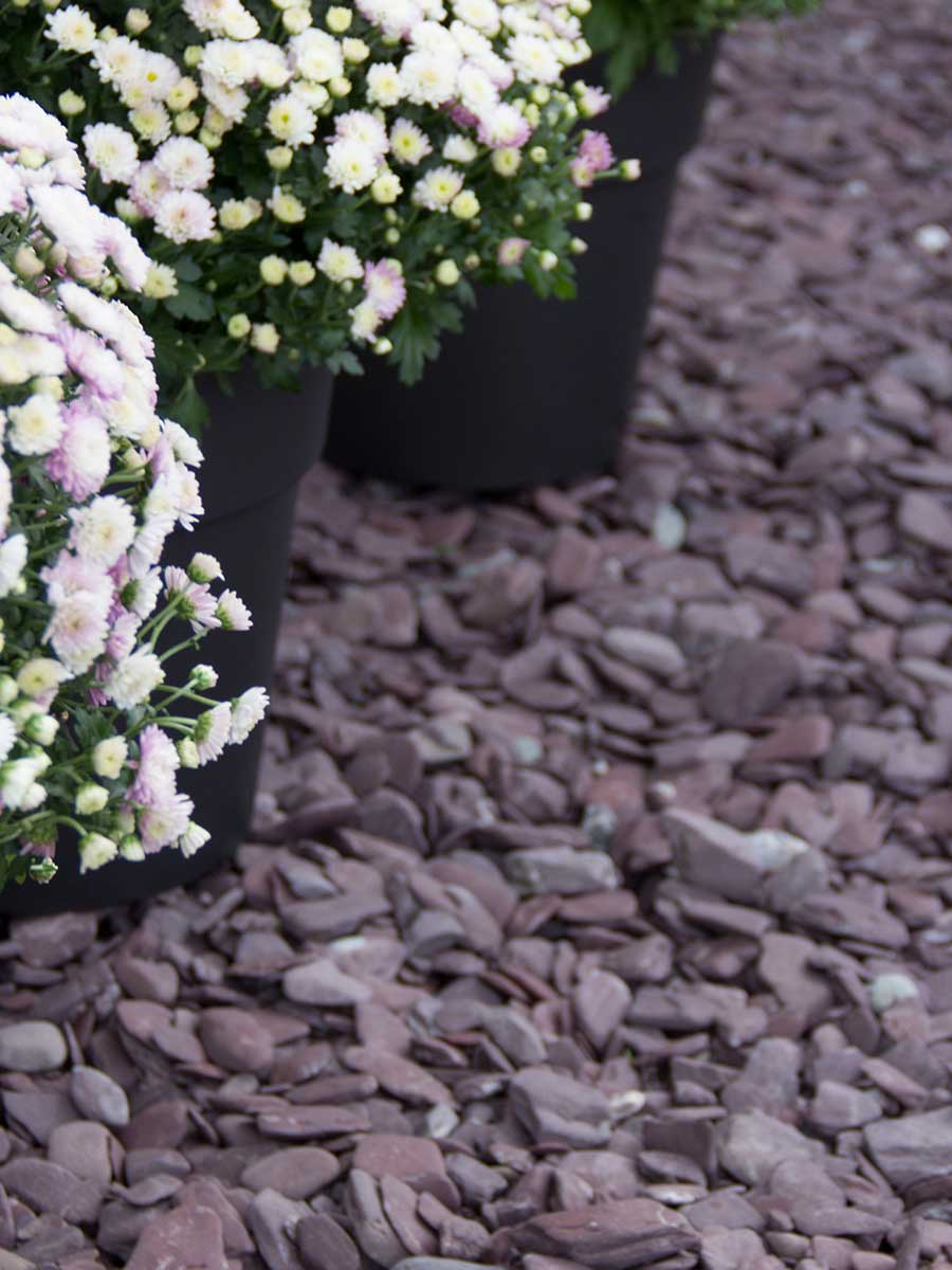 Flat Pebbles paars 30 - 60mm (3 - 6cm) aangelegde siertuin