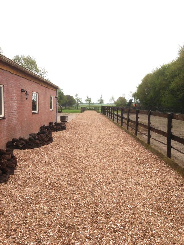 Gewassen schelpen aangelegd (schelpenpad)
