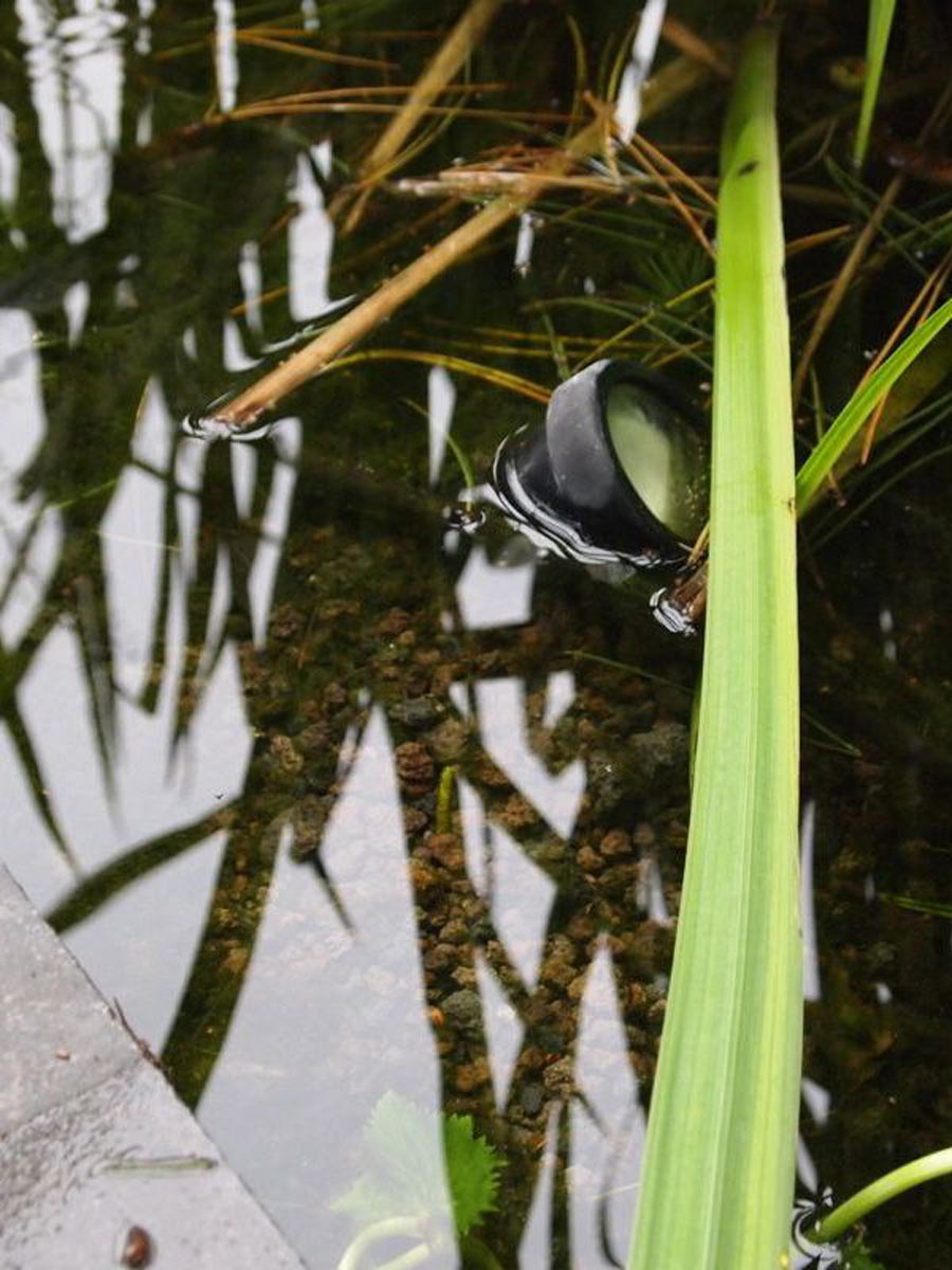 Lavakorrel aangelegd in zwemvijver