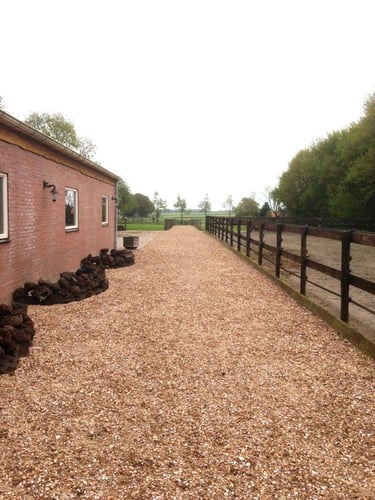Gewassen schelpen aangelegd (schelpenpad)