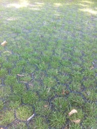 Grasroosters Easygravel 3XL zwart per m2