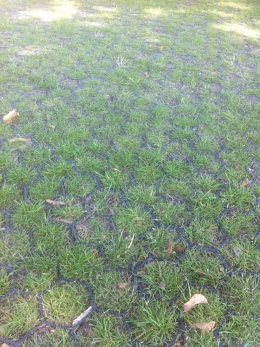 Grasplaten Easygravel 3XL groen aangelegd