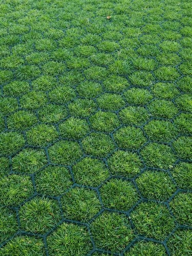 Grasplaten Easygravel 3XL groen aangelegd