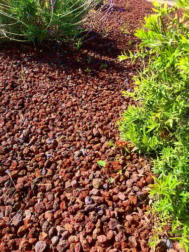 Lava split 8 - 16mm aangelegd