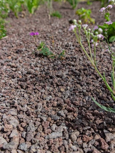 Prairie lava 3 - 8mm aangelegd