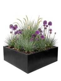 Multi-Edge FLORA Plantenbak Zwart 120120x40cm