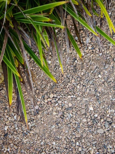 Achterhoeks Padvast aangelegd