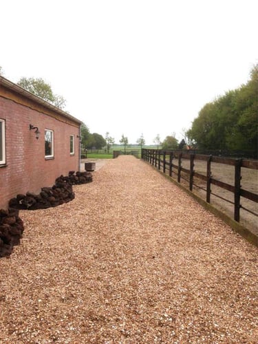 Gewassen schelpen aangelegd (schelpenpad)