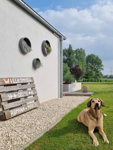 Yellow sun marble split aangelegde tuin 