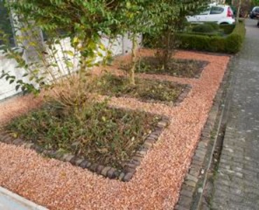 Weg met het grijs: Breng meer kleur in de tuin!