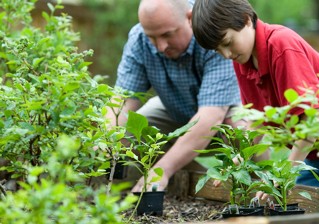 Tips: een onderhoudsvrije tuin met grind