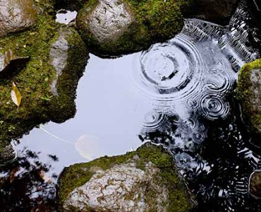 Grind en siersplit als hulpmiddel bij waterhuishouding in uw tuin